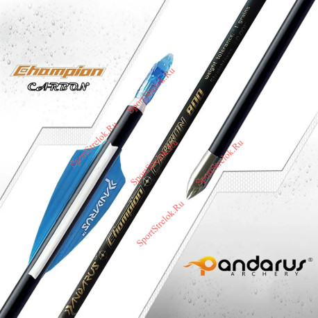 Стрела лучная карбоновая Pandarus Champion 4.2
